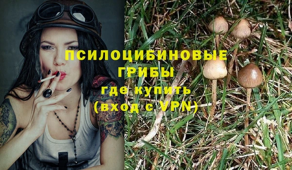 mix Лагань