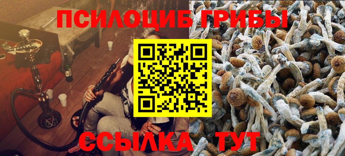 Псилоцибиновые грибы мухоморы Бийск