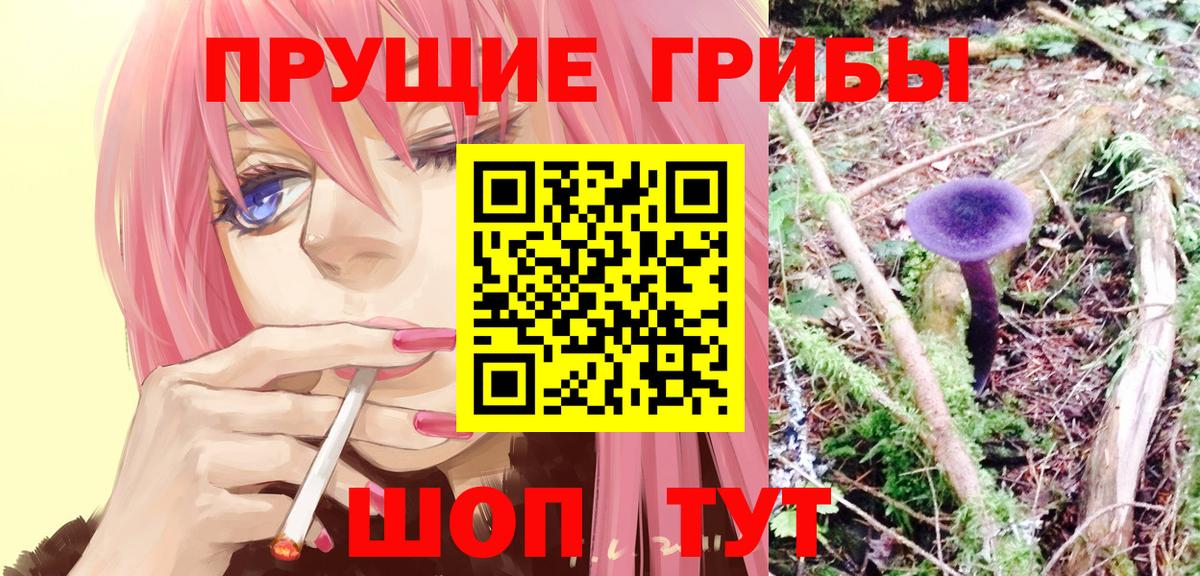 Альфа ПВП СК кристаллы  МЕФ кристаллы  Бошки Шишки  Меф кристаллы  Гашиш  Гашиш  Бийск  Бошки Шишки  Вейп ТГК 