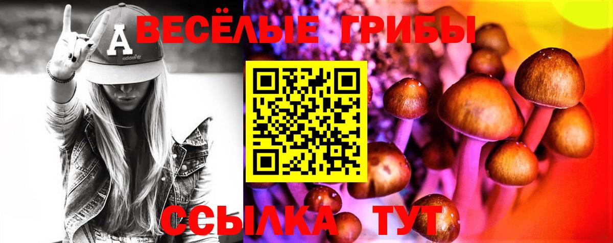 Псилоцибиновые грибы Psilocybine cubensis  Вход с VPN  Псилоцибиновые грибы Psilocybe  Бийск 