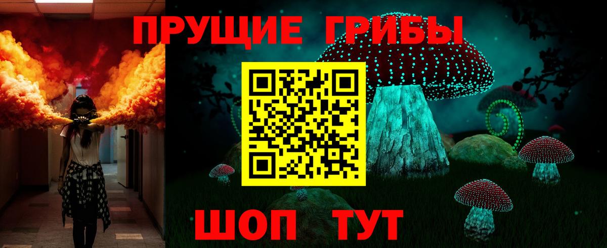 Галлюциногенные грибы Psilocybine cubensis Бийск