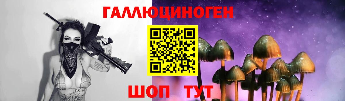 Галлюциногенные грибы Cubensis  купить   Бийск  Галлюциногенные грибы MAGIC MUSHROOMS 